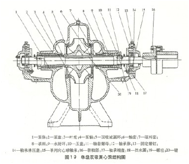 大東海泵業(yè)單級雙吸離心泵結(jié)構(gòu)圖