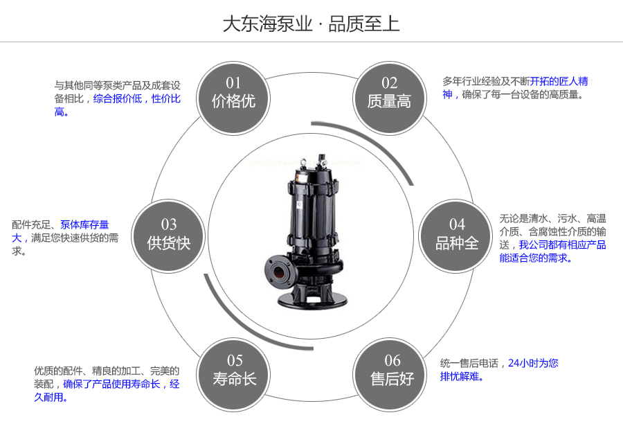 大東海泵業(yè)潛水污水泵質(zhì)量保證圖