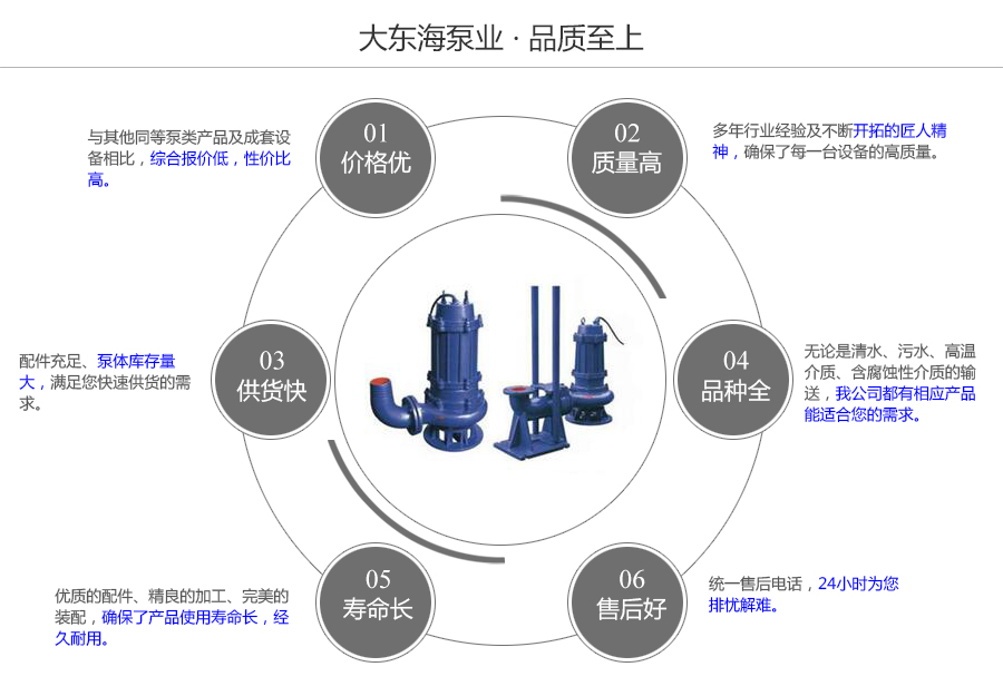 大東海泵業(yè)工程污水泵質量保證圖