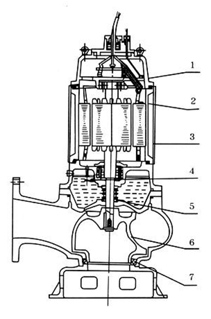 排污泵結(jié)構(gòu)圖